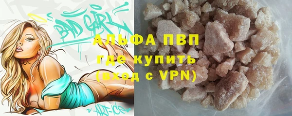 крисы Алексин